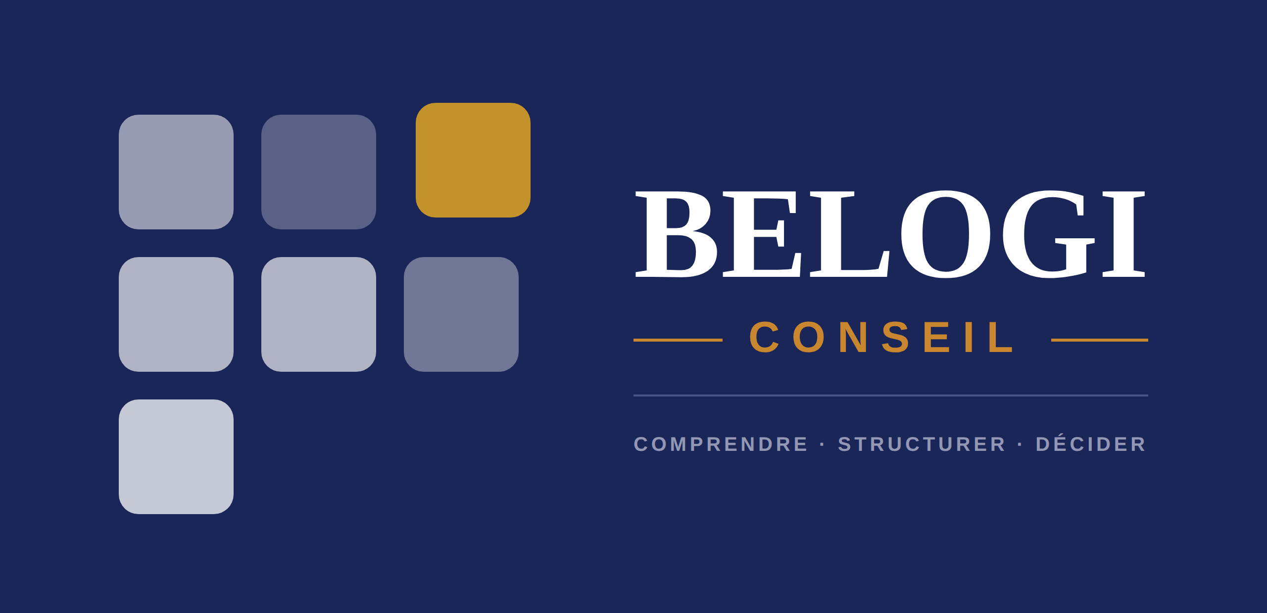 Belogi Conseil